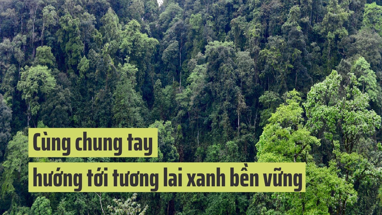 Chung tay hướng tới tương lai xanh bền vững