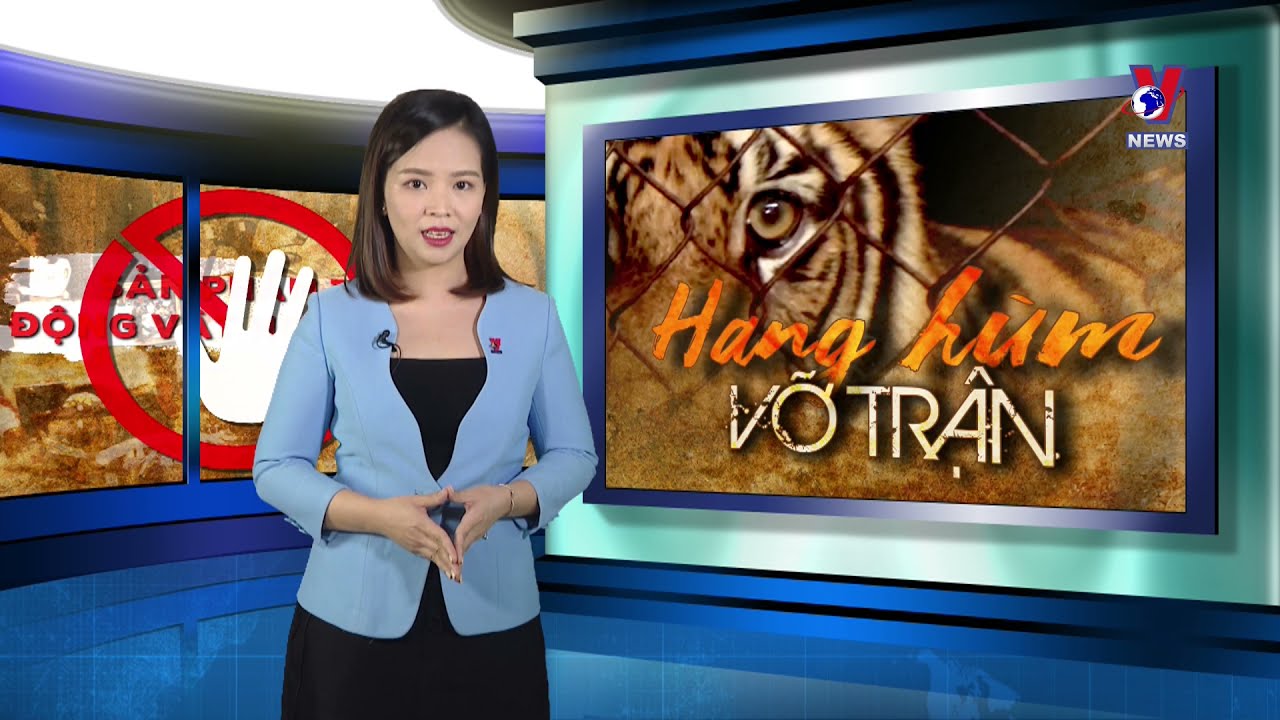 “Hang hùm vỡ trận”