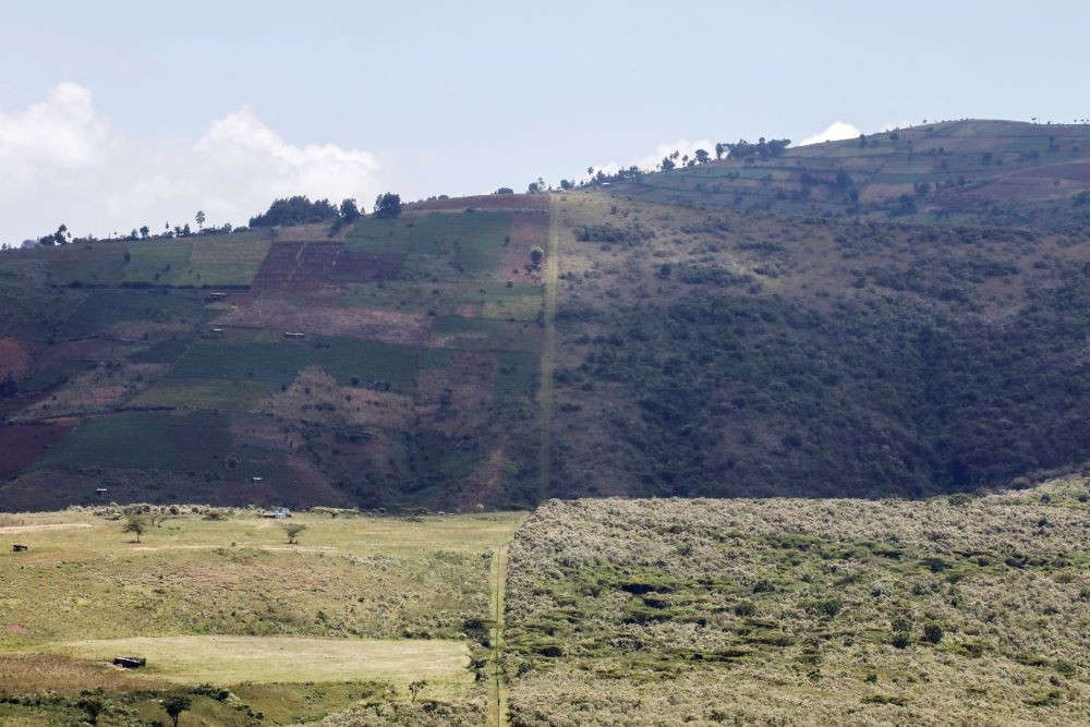 Kenya ngăn chặn phá rừng bằng ứng dụng công nghệ kỹ thuật số
