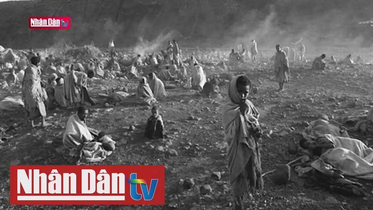 Hệ quả từ biến đổi khí hậu