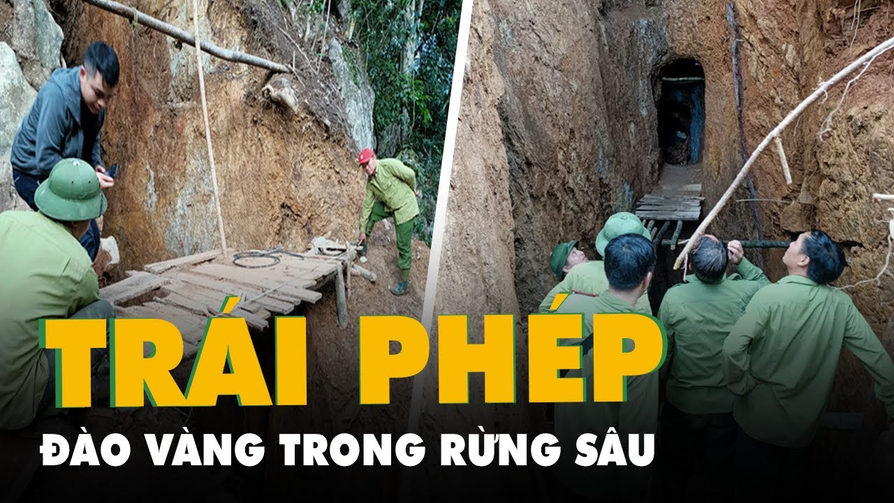 Phát hiện hầm và máy móc đào vàng trái phép gần Khu bảo tồn thiên nhiên Pù Luông