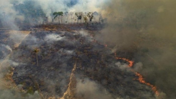 Diện tích rừng Amazon bị “xóa sổ” cao nhất trong 15 năm qua - ThienNhien.Net | Con người và Thiên nhiên
