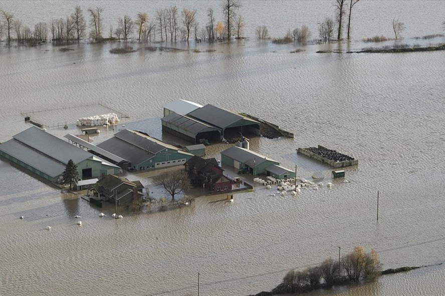 Nguyên nhân lũ lụt kinh hoàng 500 năm mới có 1 lần ở Mỹ, Canada -  ThienNhien.Net | Con người và Thiên nhiên