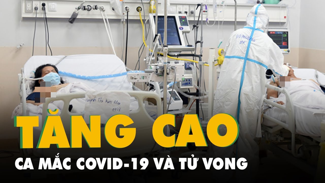Ca mắc COVID-19 và tử vong cả nước tăng, 5 công ty xin sản xuất thuốc kháng virus