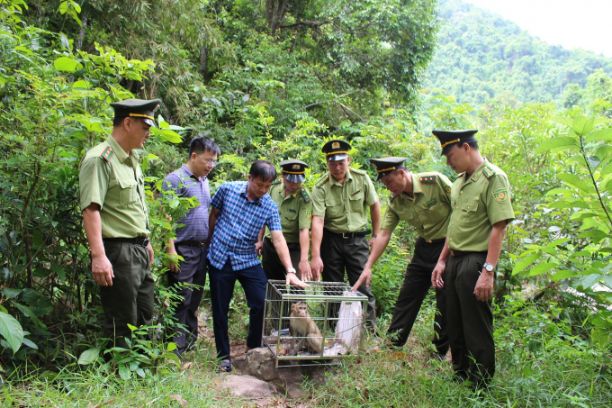 Quy định mới về quản lý thực vật rừng, động vật rừng nguy cấp, quý hiếm