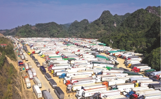 Lời cảnh tỉnh của nông nghiệp