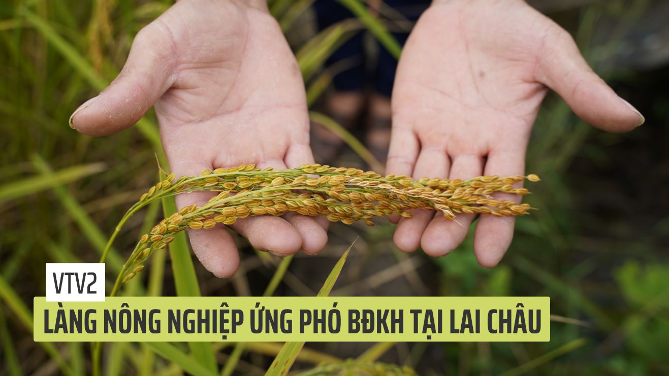 Phát triển bền vững: Làng nông nghiệp ứng phó biến đổi khí hậu