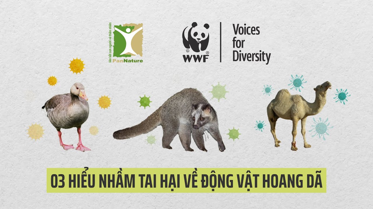 03 hiểu nhầm tai hại về động vật hoang dã