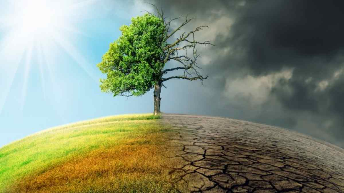 Biến đổi khí hậu và những tác động tới sự sống - ThienNhien.Net | Con