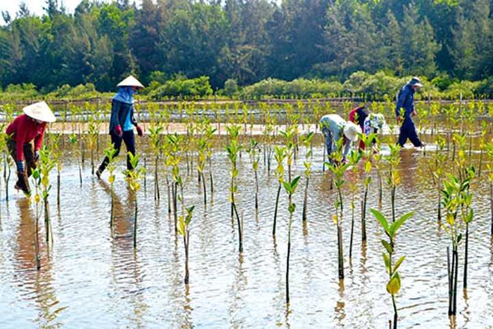 Thúc đẩy du lịch sinh thái nông nghiệp trong bối cảnh ứng phó với tác động của BĐKH