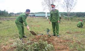 Kon Tum: Trên 285 tỷ đồng để trồng rừng giai đoạn 2022-2025