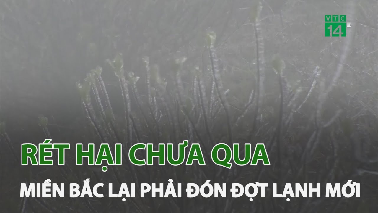 Rét hại chưa qua, người dân miền Bắc lại phải đón đợt lạnh mới