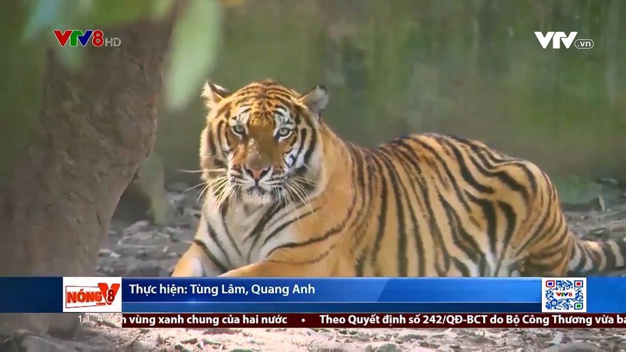 Bất cập trong quản lý nuôi động vật hoang dã tại Thanh Hoá
