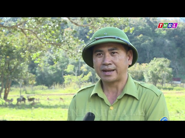Cao nguyên Kon Hà Nừng – Dấu ấn của thiên nhiên