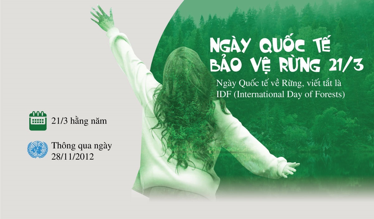Ngày Quốc tế bảo vệ rừng 21/3 có gì đặc biệt?
