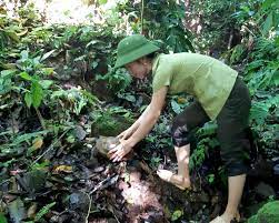 Tăng cường quản lý, bảo vệ động vật hoang dã