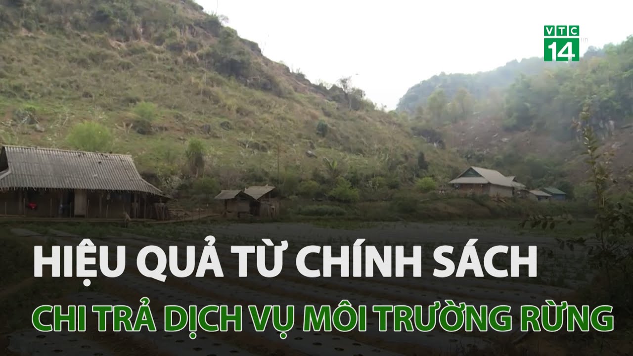 Hiệu quả từ chính sách chi trả dịch vụ môi trường rừng