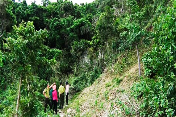 Khánh Hòa nói gì việc đóng cửa trạm bảo vệ rừng vì không có người?