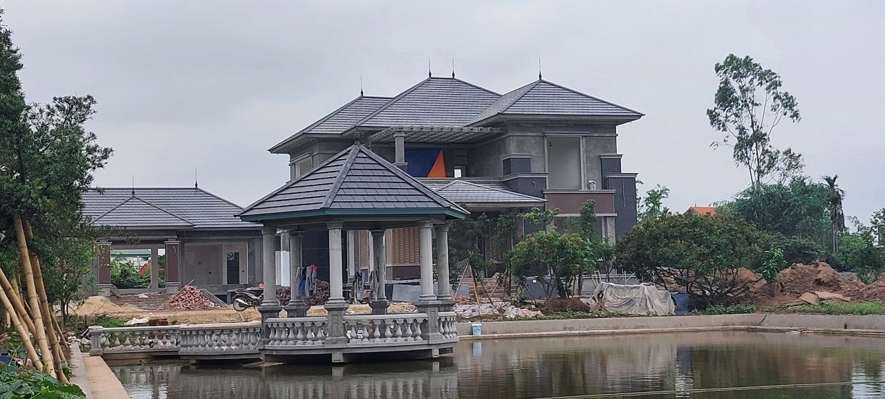 Hải Phòng yêu cầu xử lý vi phạm tại nông trường Qúy Cao