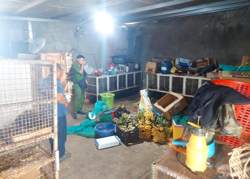 Kon Tum: Phát hiện nhiều động vật hoang dã được nuôi nhốt tại nhà dân