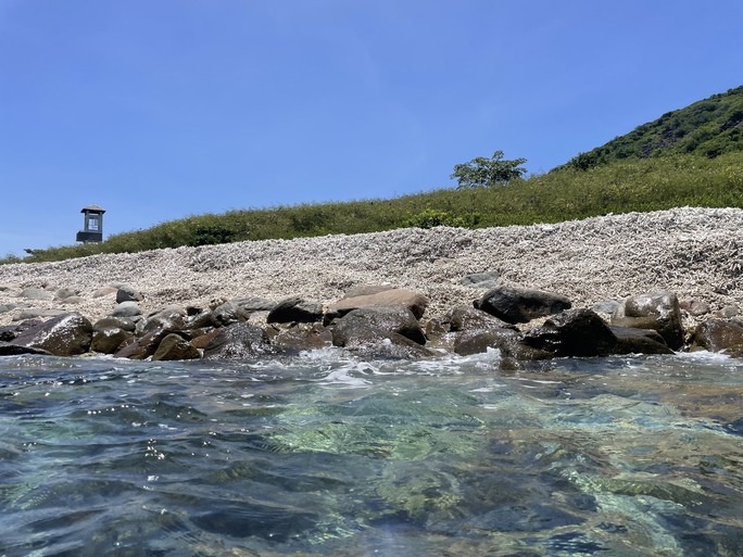 Bảo tồn biển Vịnh Nha Trang: S.O.S! (*)”: Điều tra nguyên nhân để ngăn chặn