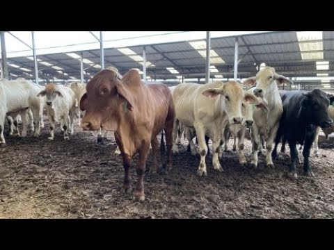 Chính phủ phê duyệt Đề án phát triển kinh tế tuần hoàn