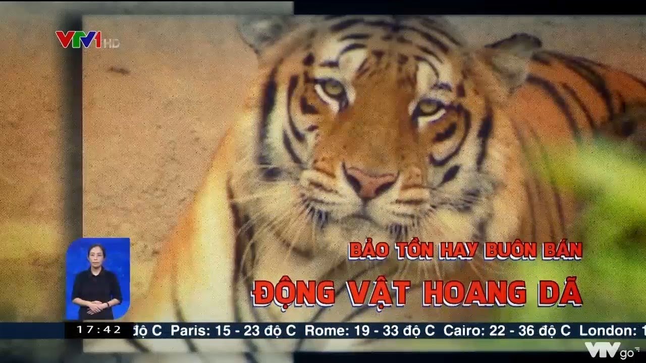 Bảo tồn hay buôn bán động vật hoang dã