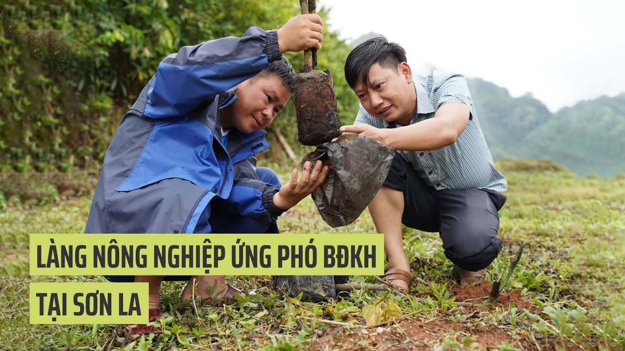 Làng nông nghiệp ứng phó BĐKH tại Sơn La