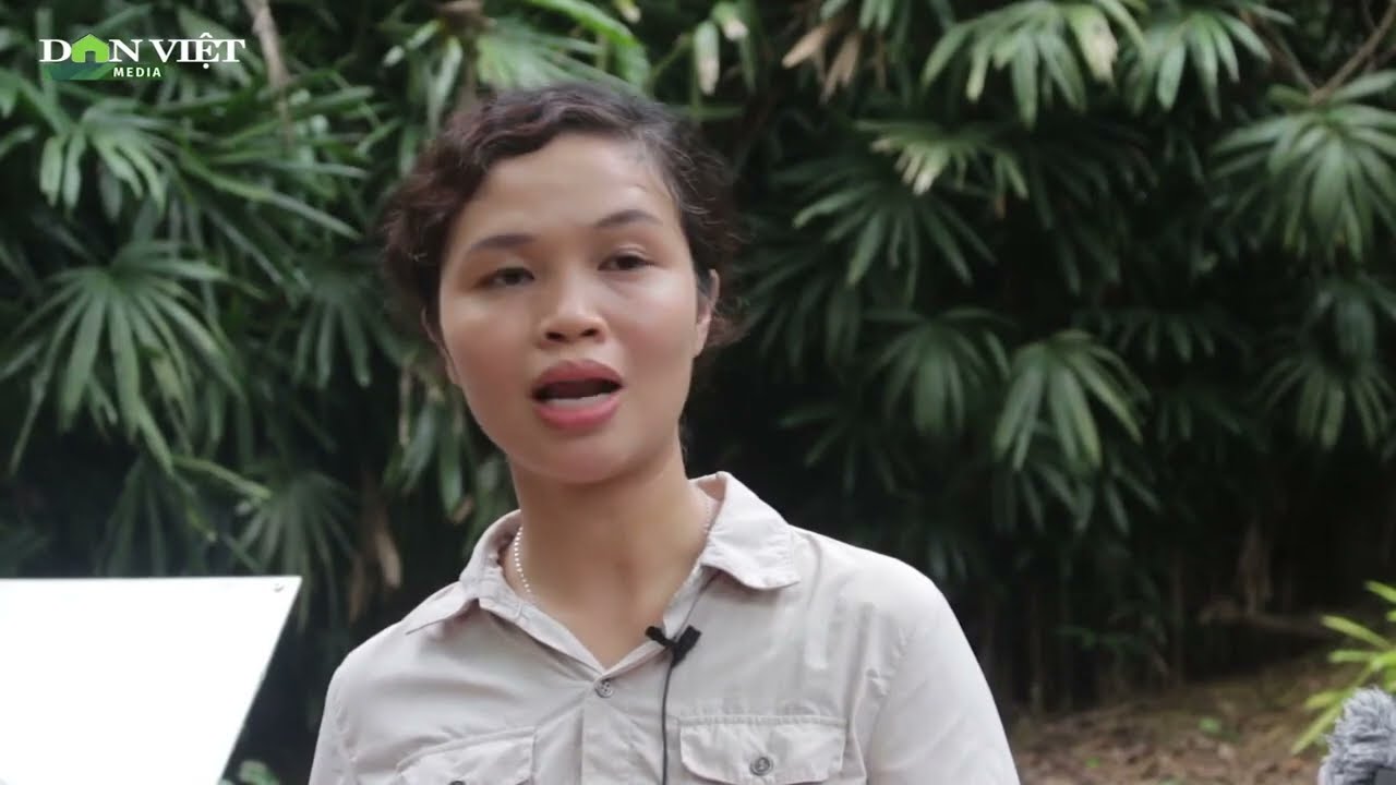 Bảo tồn động vật hoang dã và niềm trăn trở của những người trong nghề