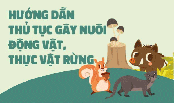 Hướng dẫn thủ tục gây nuôi động vật, thực vật rừng