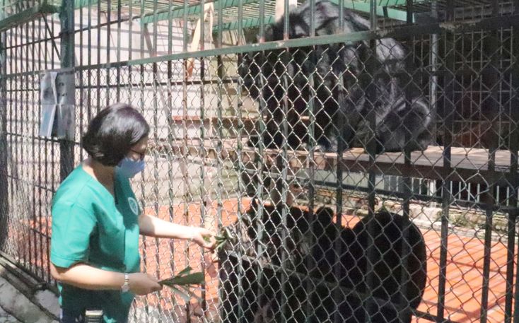 Tái thả 169 cá thể động vật hoang dã