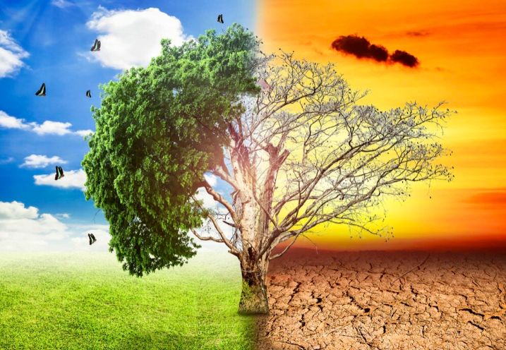 biến đổi khí hậu ảnh hưởng đến việt nam