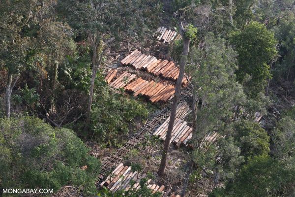 Indonesia và Na Uy đưa ra thỏa thuận REDD+ mới 