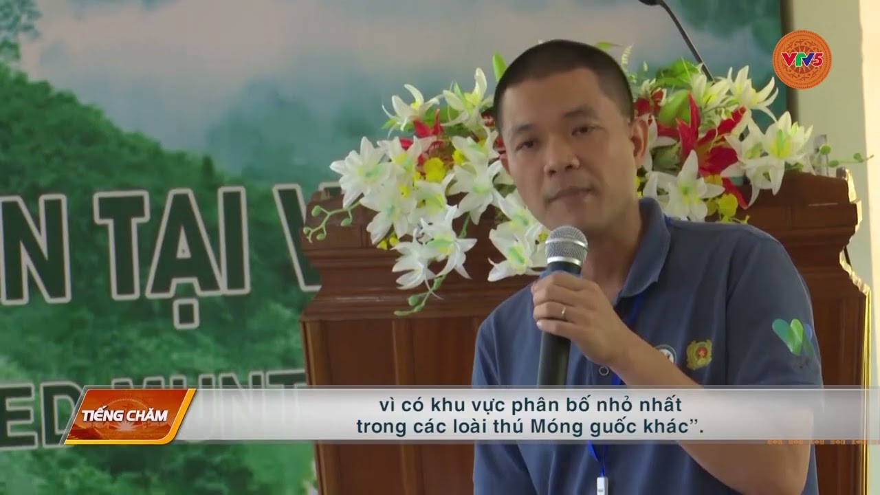 Chung tay bảo vệ động vật hoang dã
