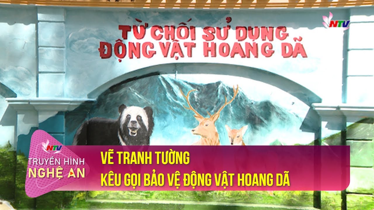 Vẽ tranh tường kêu gọi bảo vệ động vật hoang dã