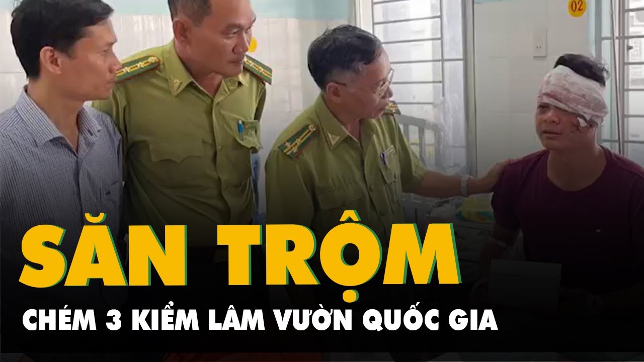 Kiểm lâm Vườn quốc gia Cát Tiên kể giây phút bị nhóm săn trộm chém trọng thương