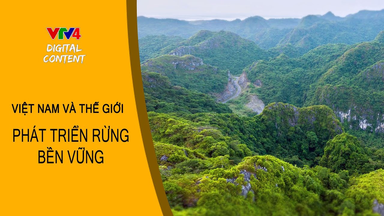 Phát triển rừng bền vững