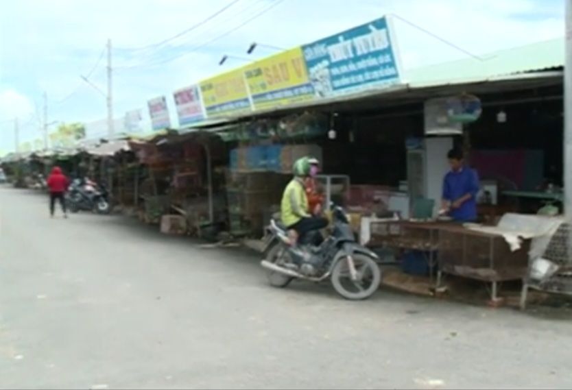 Tăng cường kiểm tra, xử lý mua, bán trái phép động vật hoang dã