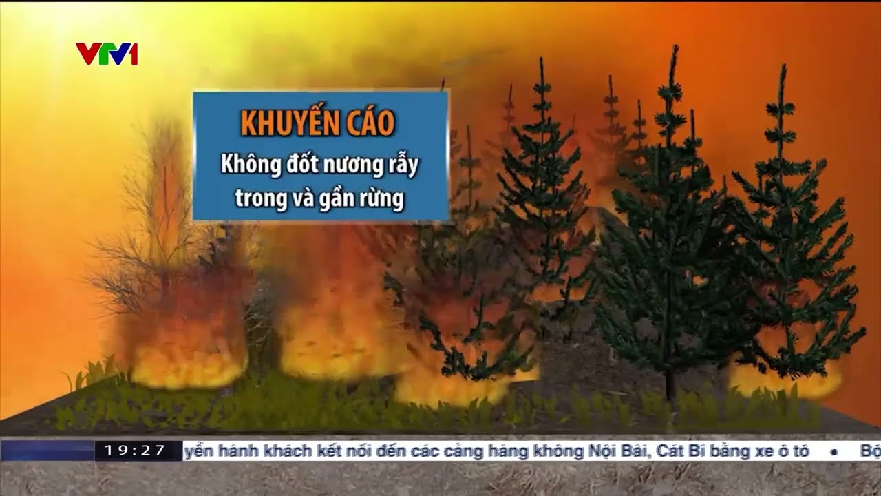 Cháy rừng tại Nghệ An