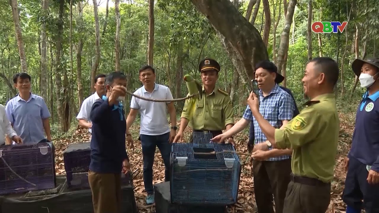 Nỗ lực cứu hộ, bảo tồn các loại động vật hoang dã