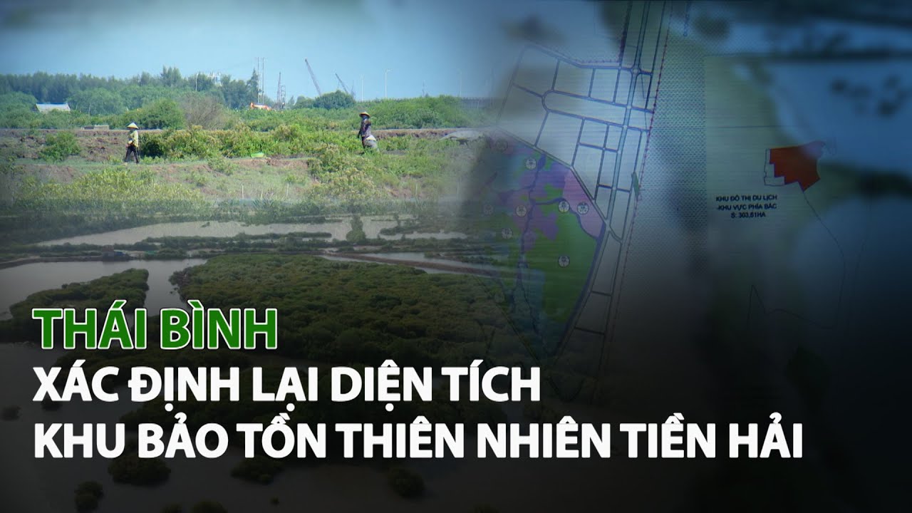 Thái Bình xác định lại diện tích Khu bảo tồn thiên nhiên Tiền Hải