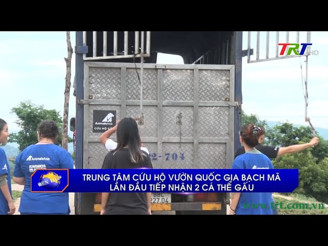 Trung tâm cứu hộ Vườn Quốc gia Bạch Mã lần đầu tiếp nhận 2 cá thể gấu