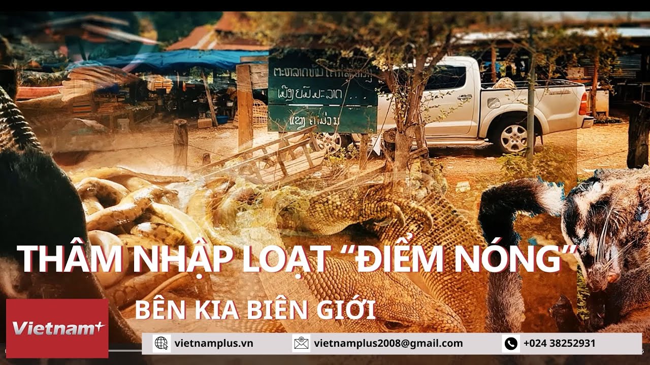 Chợ thú rừng: Thâm nhập loạt “điểm nóng” bên kia biên giới (Kỳ 1)