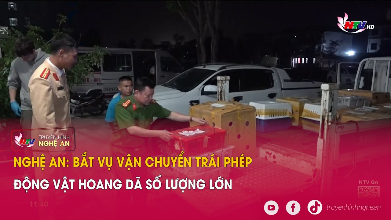 Nghệ An: Bắt vụ vận chuyển trái phép động vật hoang dã số lượng lớn