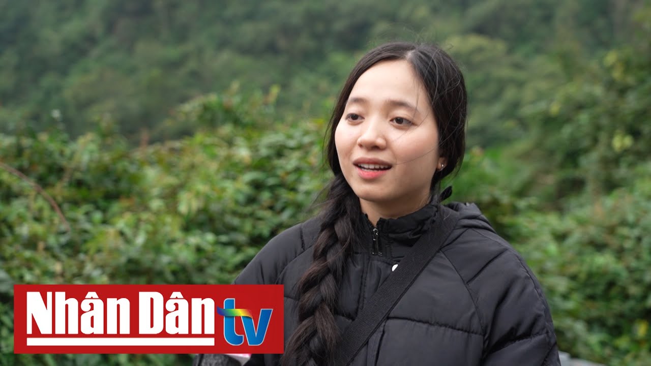Khi trong đô thị có rừng