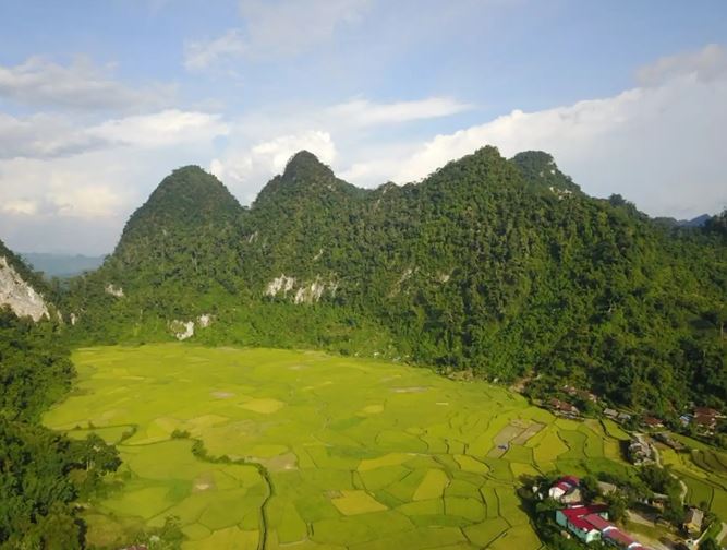 Nghiên cứu đa dạng sinh học tại Khu bảo tồn thiên nhiên Kim Hỷ