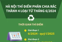 Hà Nội thí điểm phân chia rác thành 4 loại từ tháng Sáu
