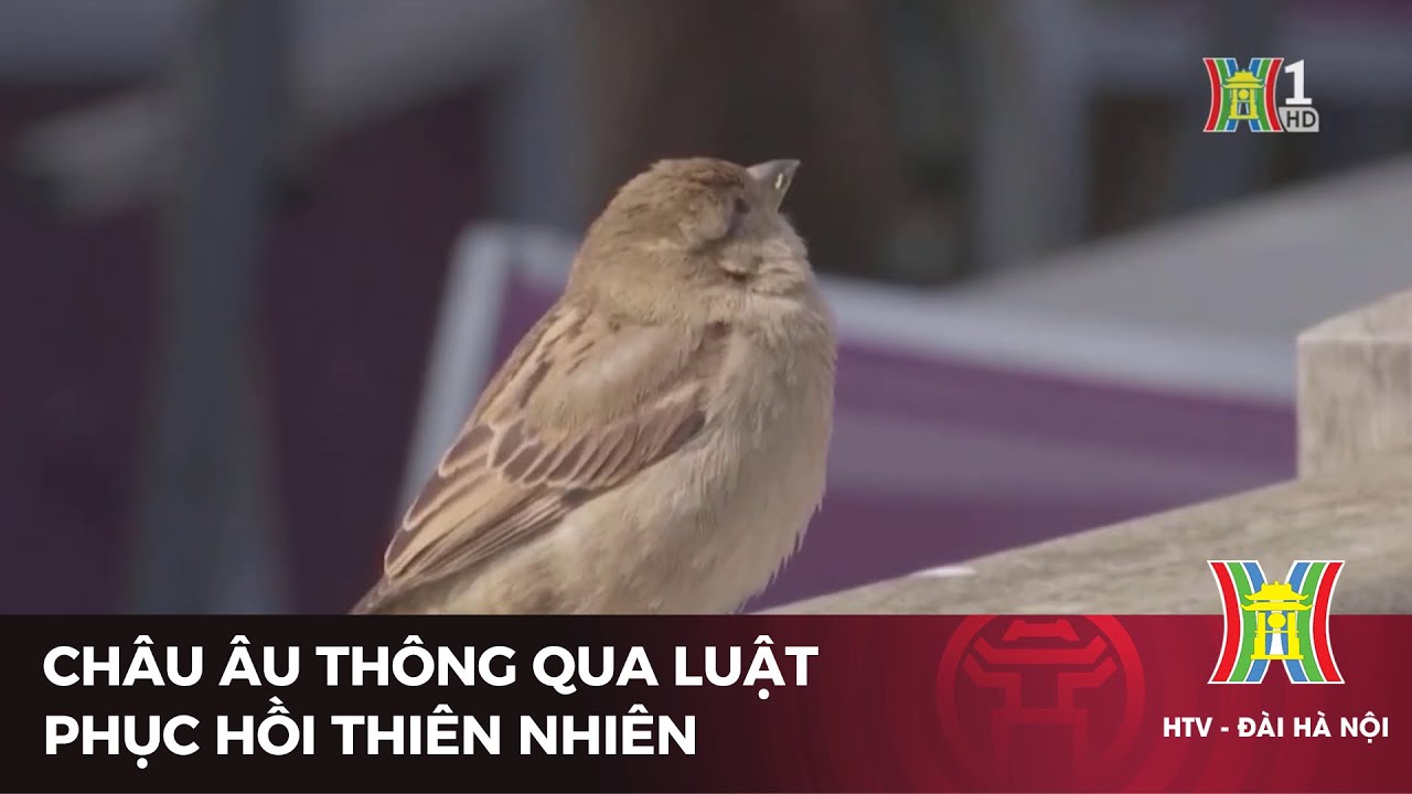 Châu Âu thông qua luật phục hồi thiên nhiên