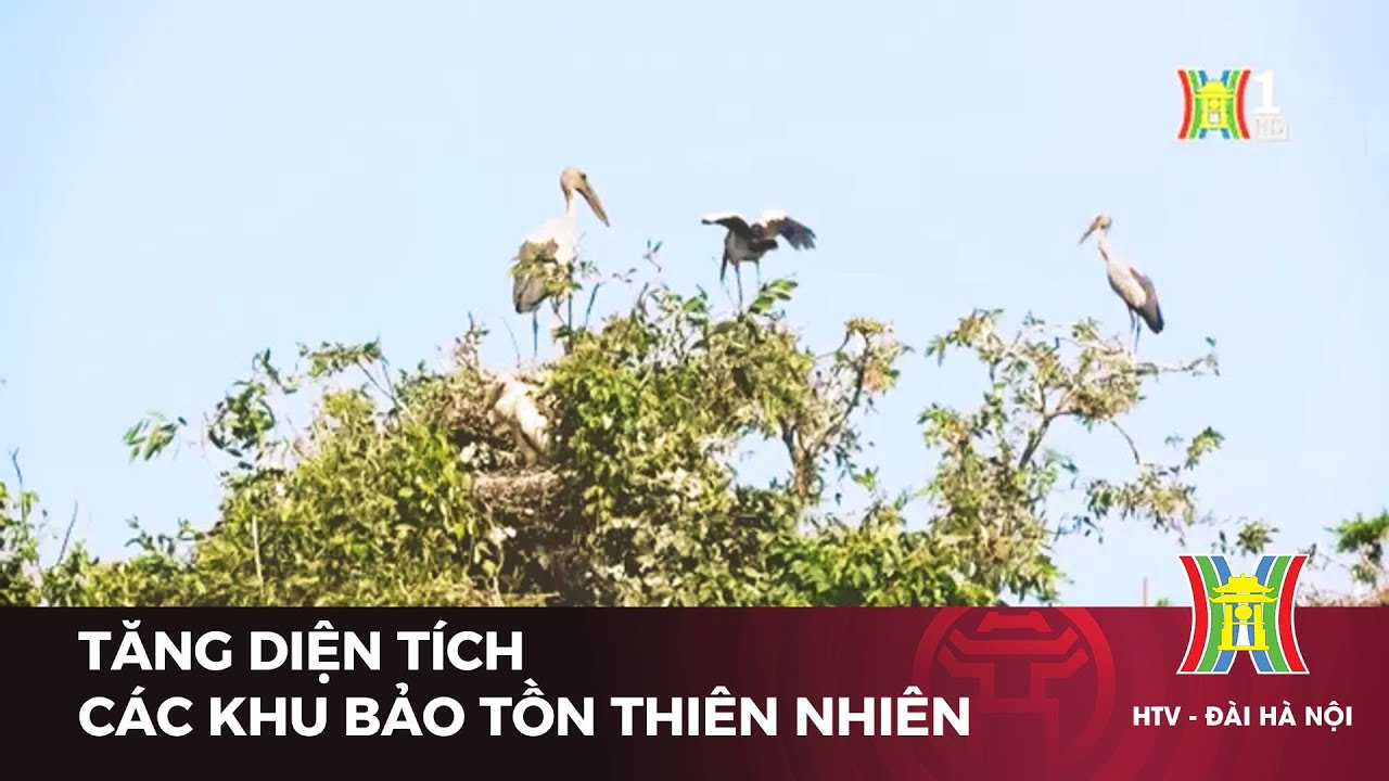 Tăng diện tích các khu bảo tồn thiên nhiên