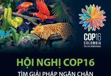 Hội nghị COP16 tìm giải pháp ngăn chặn suy giảm đa dạng sinh học
